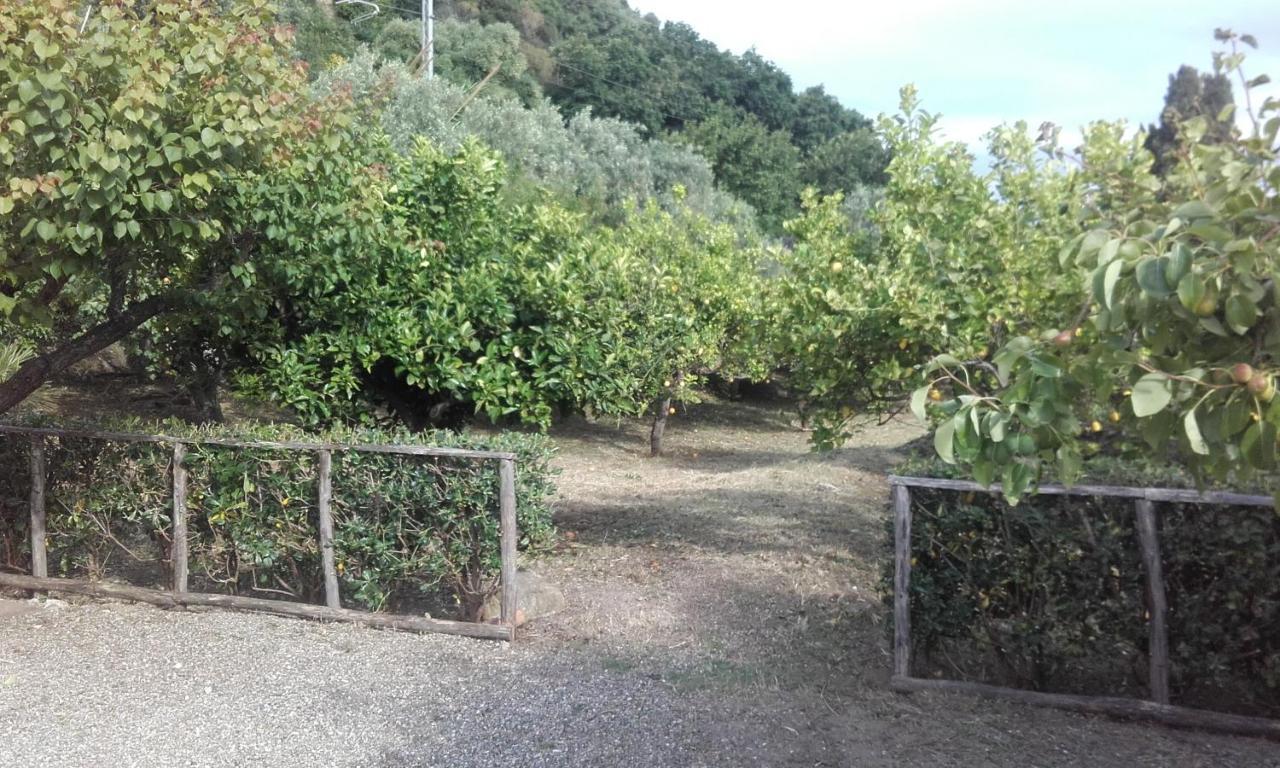 B&B Il Giardino Di Zefiro Gioiosa Marea Kültér fotó