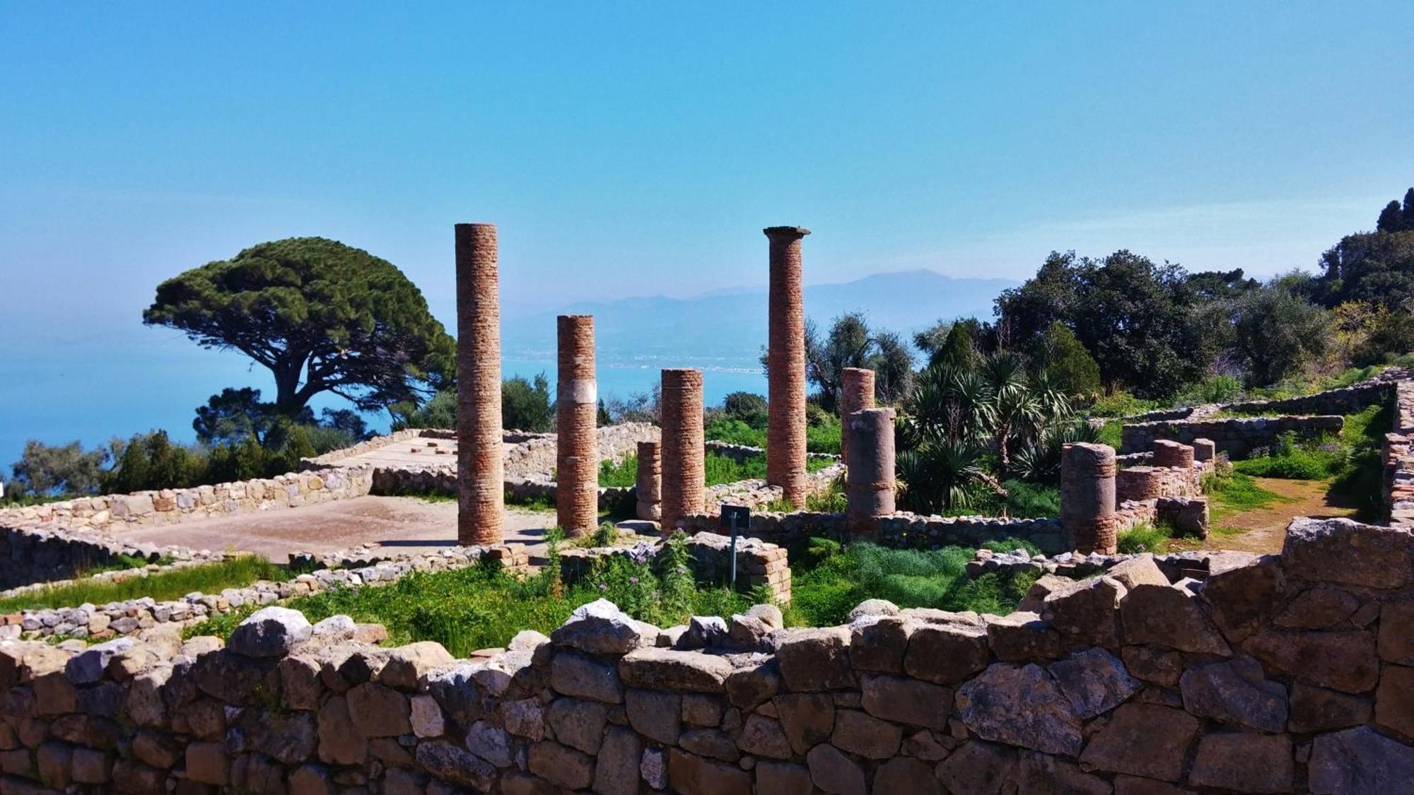 B&B Il Giardino Di Zefiro Gioiosa Marea Kültér fotó