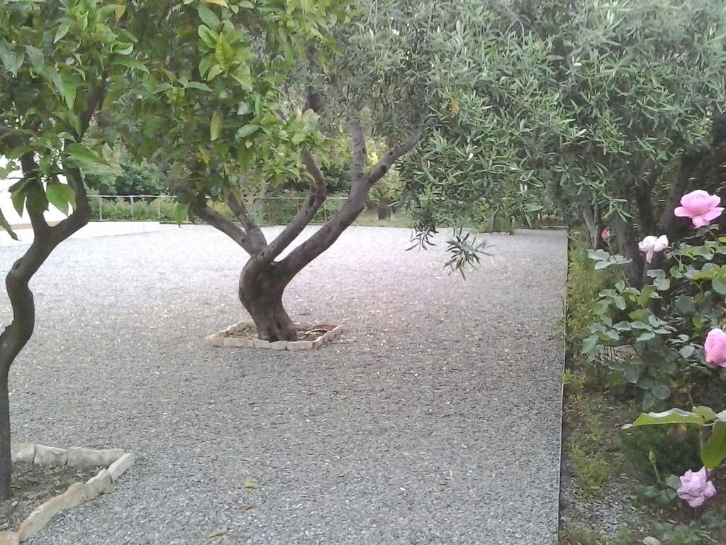 B&B Il Giardino Di Zefiro Gioiosa Marea Kültér fotó